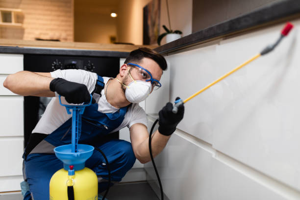 Best Commercial Pest Control Services  in Caldwell, OH