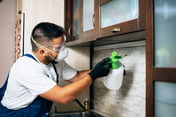 Best Pest Prevention Services  in Caldwell, OH
