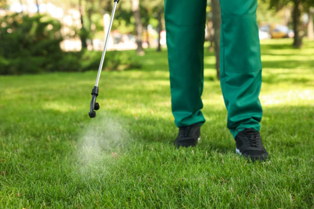 Best Best Pest Control Companies  in Caldwell, OH