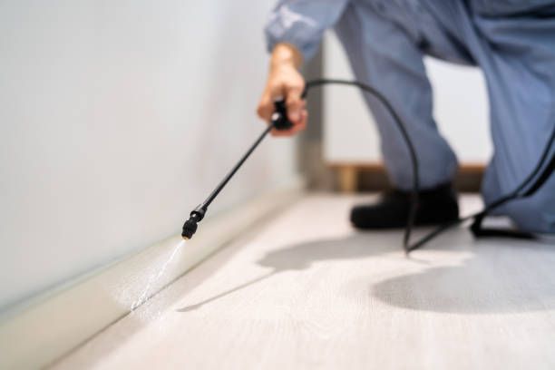 Best Local Pest Control Services  in Caldwell, OH
