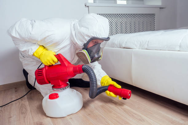 Best Best Pest Control Companies  in Caldwell, OH