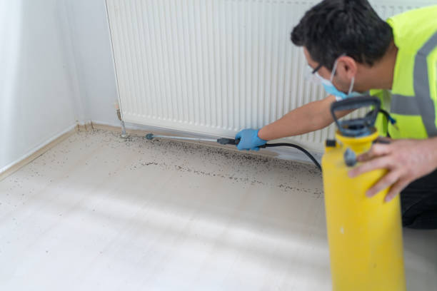 Best Flea Control Services  in Caldwell, OH